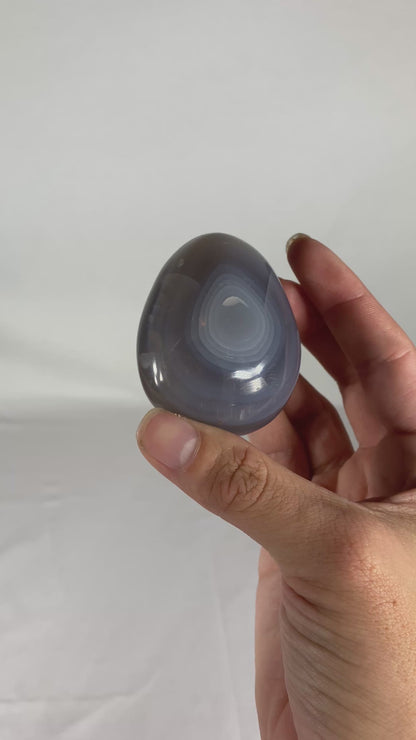 Madagascan Polished Orca Agate Palm Stone (A)