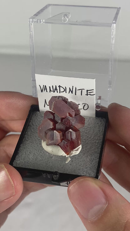 Moroccan Vanadinite Thumbnail Specimen (Pre-Done D)