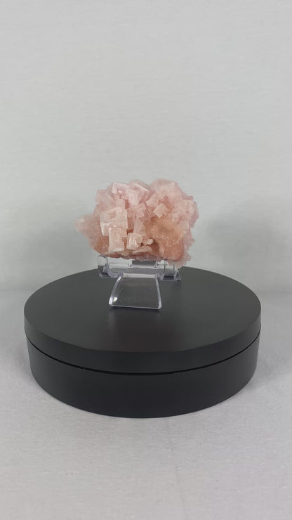 Californian Pink Halite Specimen (G)
