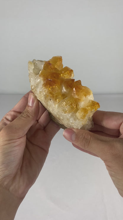 Brazilian Citrine Specimen (L)