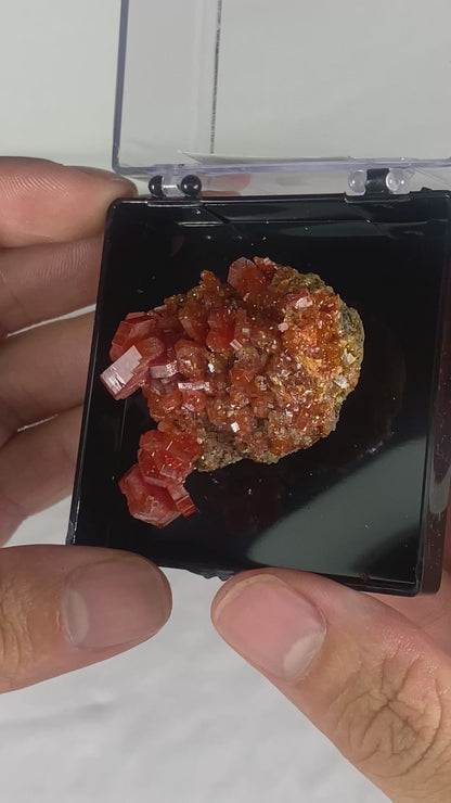Moroccan Vanadinite Thumbnail Specimen (Medium G)