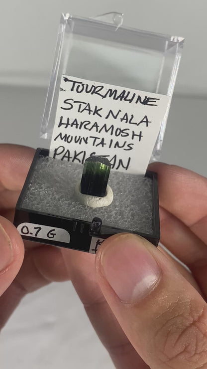 Pakistani Green Tourmaline Thumbnail Specimen (Pre-Done I)