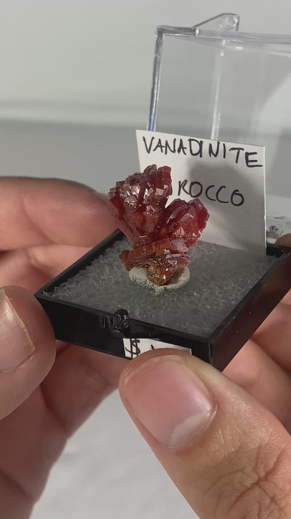 Moroccan Vanadinite Thumbnail Specimen (Pre-Done E)
