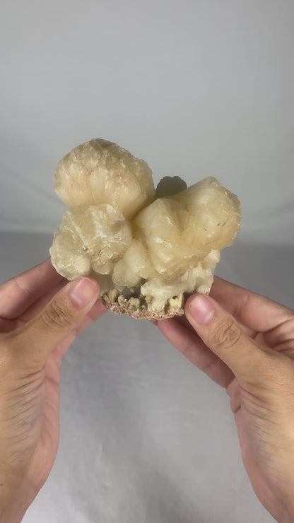 Indian Zeolite Specimen (Large F)